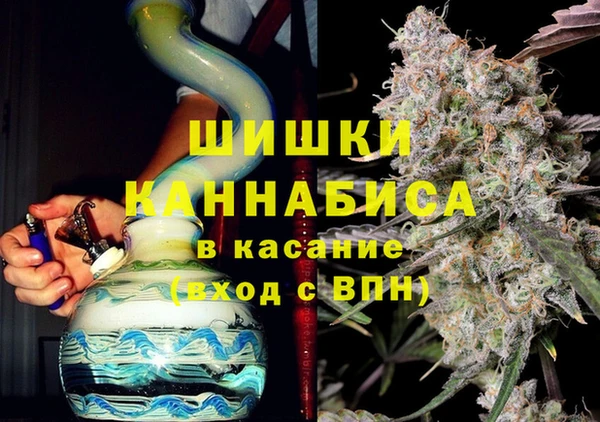 ГАЛЛЮЦИНОГЕННЫЕ ГРИБЫ Галич